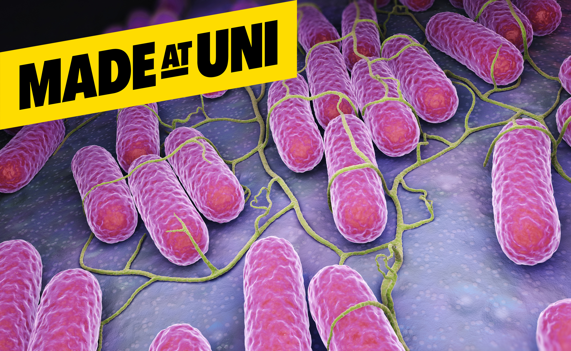 Swansea University cancer research recognised in UK’s Best Breakthroughs Lis
